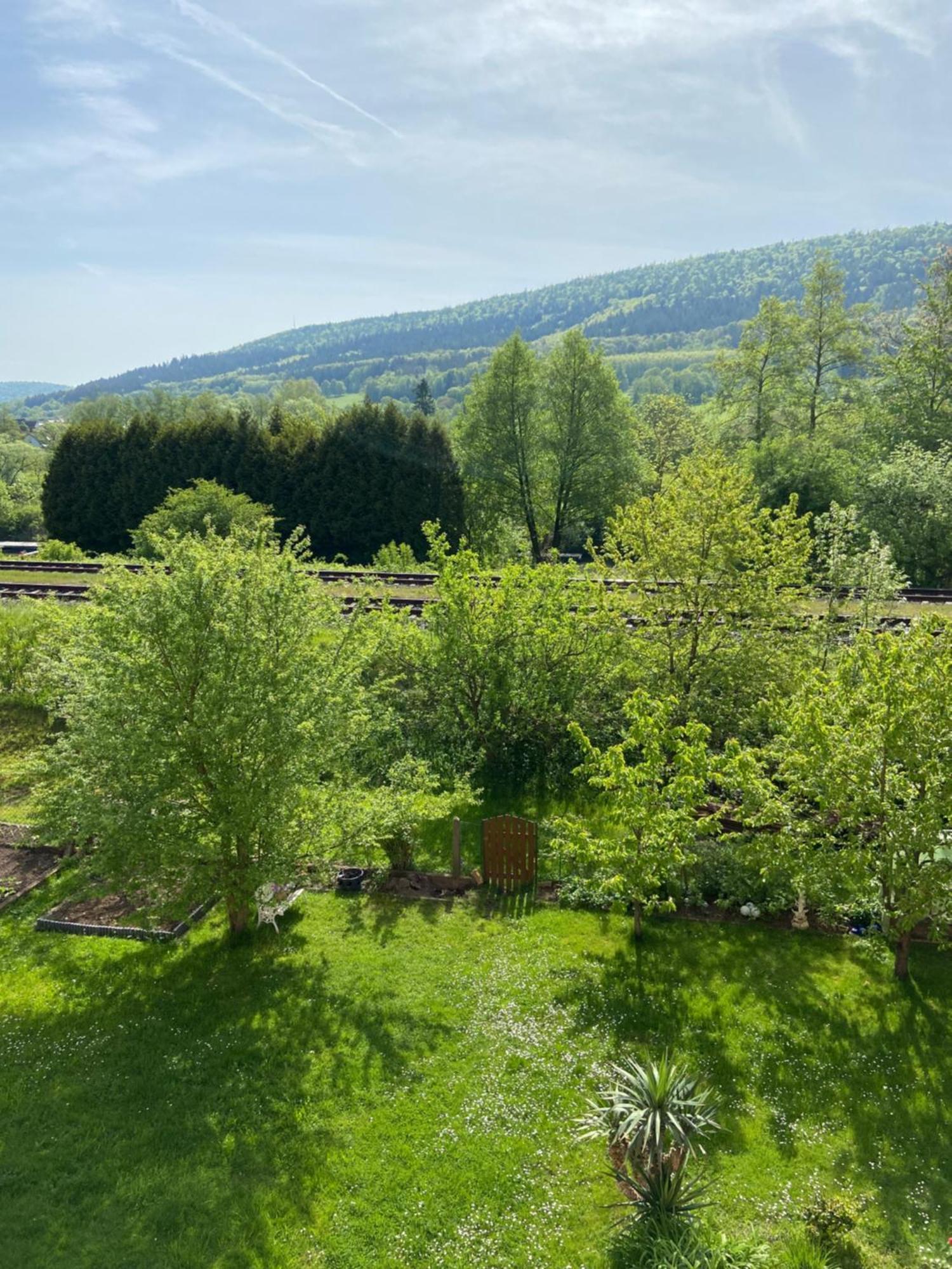 2Z-Ferienwohnung, Umgeben Vom Spessart & Main Stadtprozelten Екстер'єр фото
